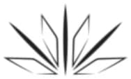 Logo Body Industry